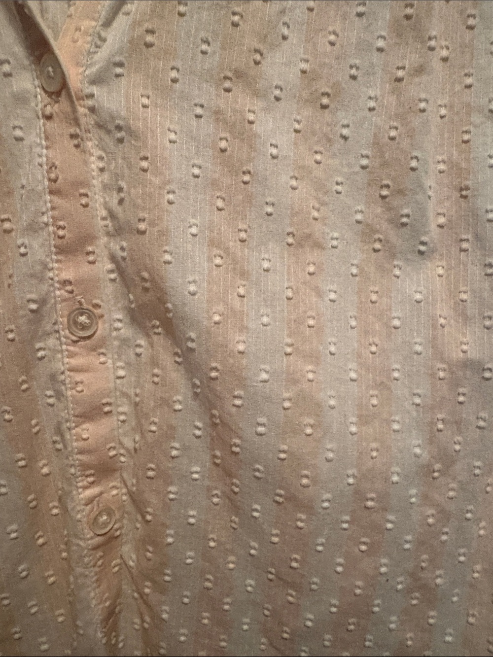 Point Sur Light Pink and White Dot-Textured Short Sleeve Blouse - Picture 4 of 5